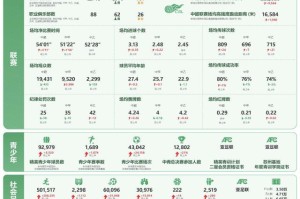 大发官网|大发体育|大发娱乐场|dafabet中国|大发体育官方网站|www.dfa678.com-足协2024年年报：多项数据提升 职业球员共2740人